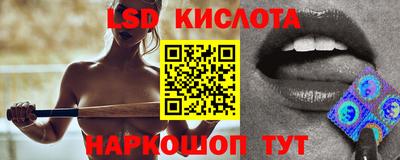 крисы Славянск-на-Кубани